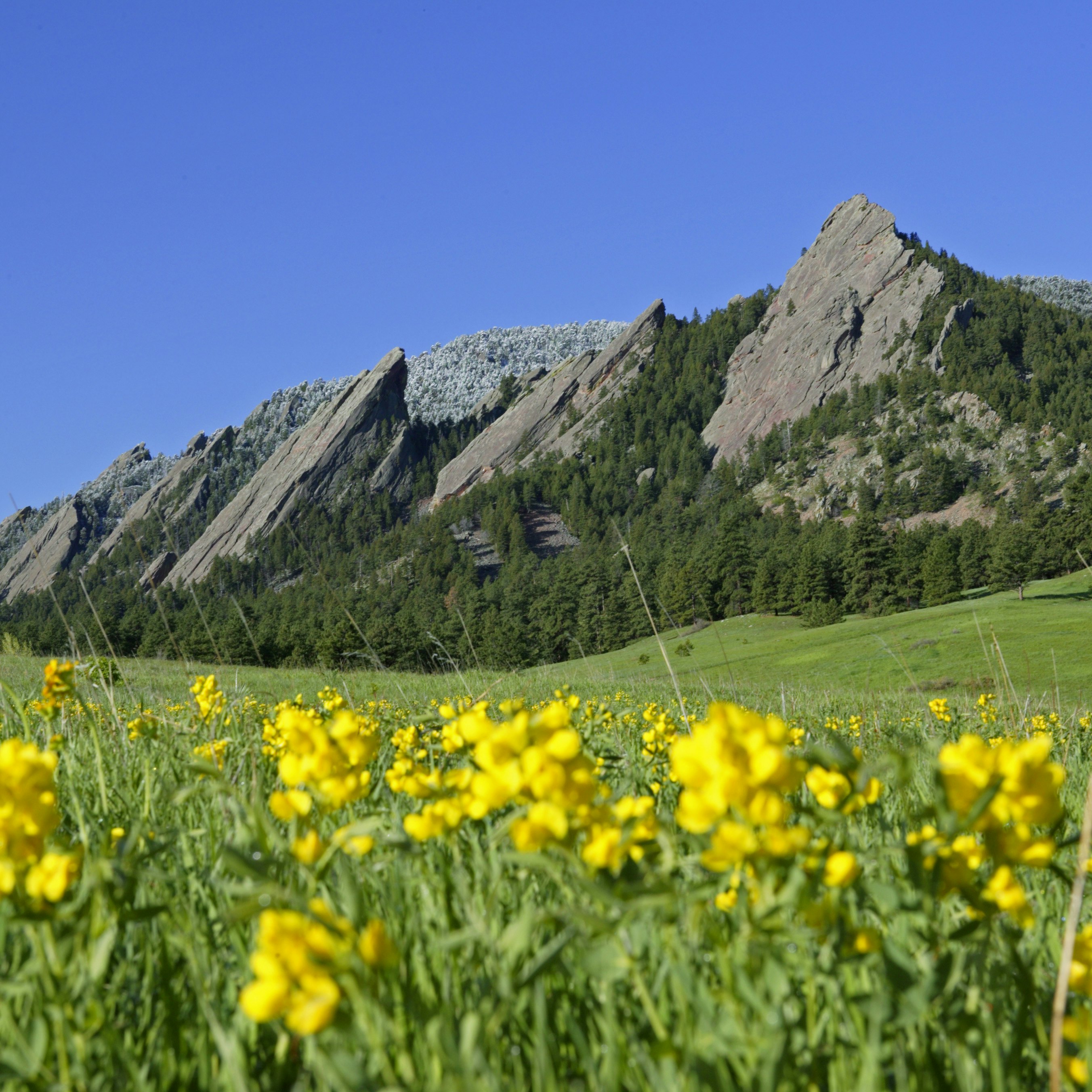 Green Mountain and the Flatirons as seen from Chautauqua Park in Boulder, Colorado.