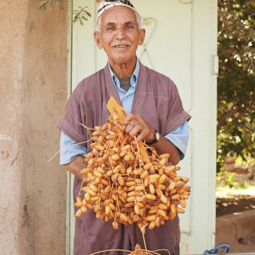 Date farmer with cart full of dates in village of Tazaka.