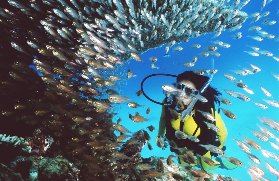 Woman scuba diving near coral and tropical fish