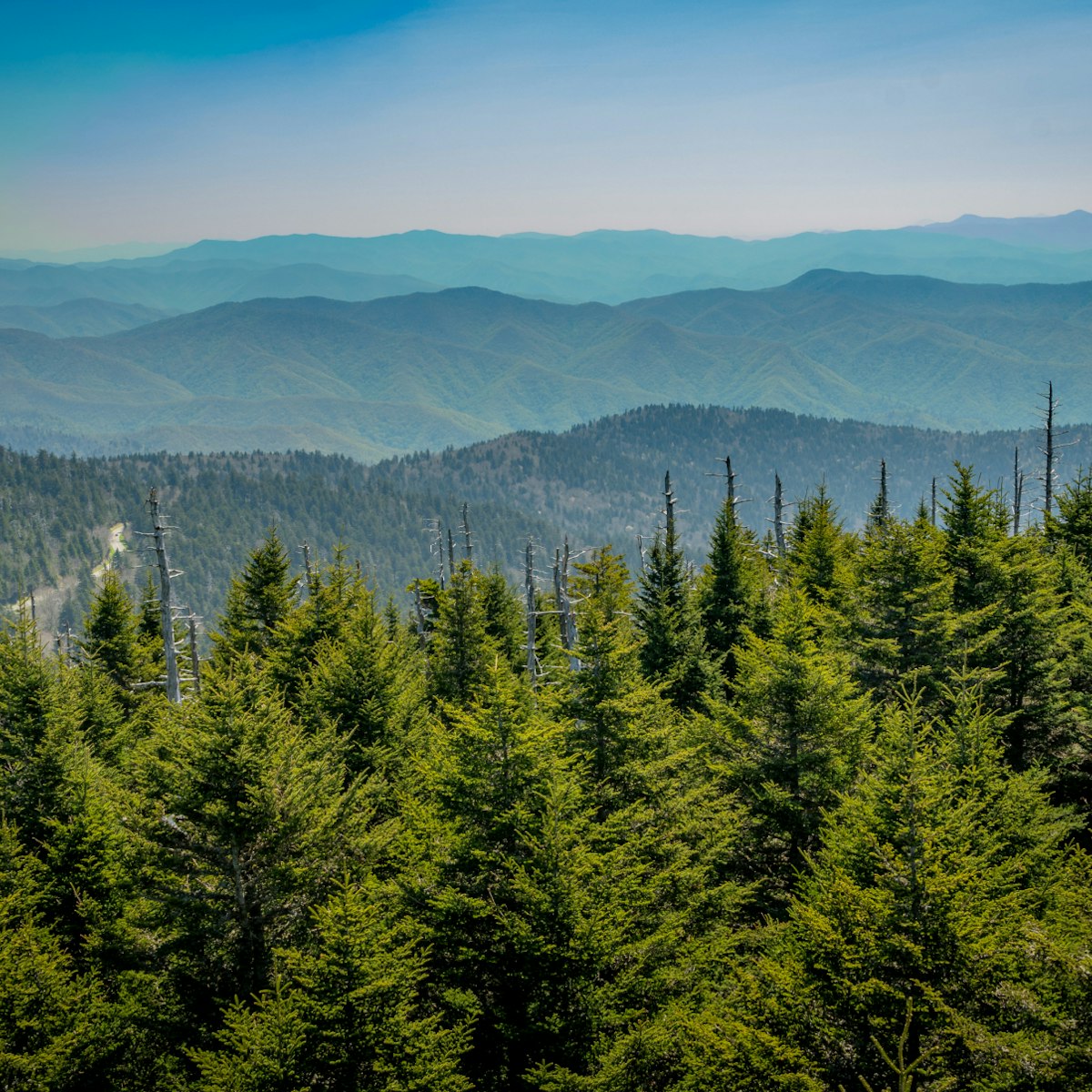 Looking South From Clingmans Dome over mountain range