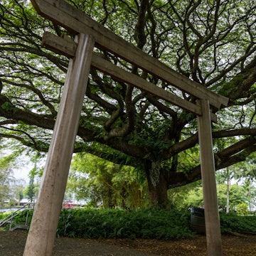 Hilo