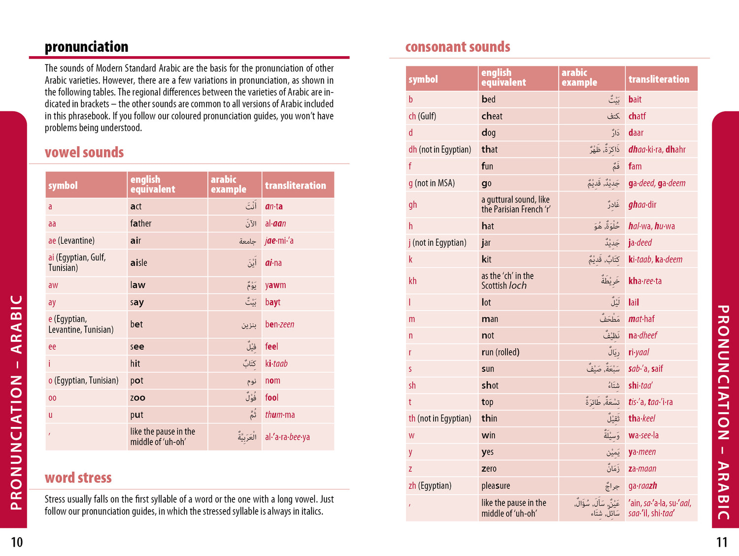 Middle East Phrasebook & Dictionary - Book