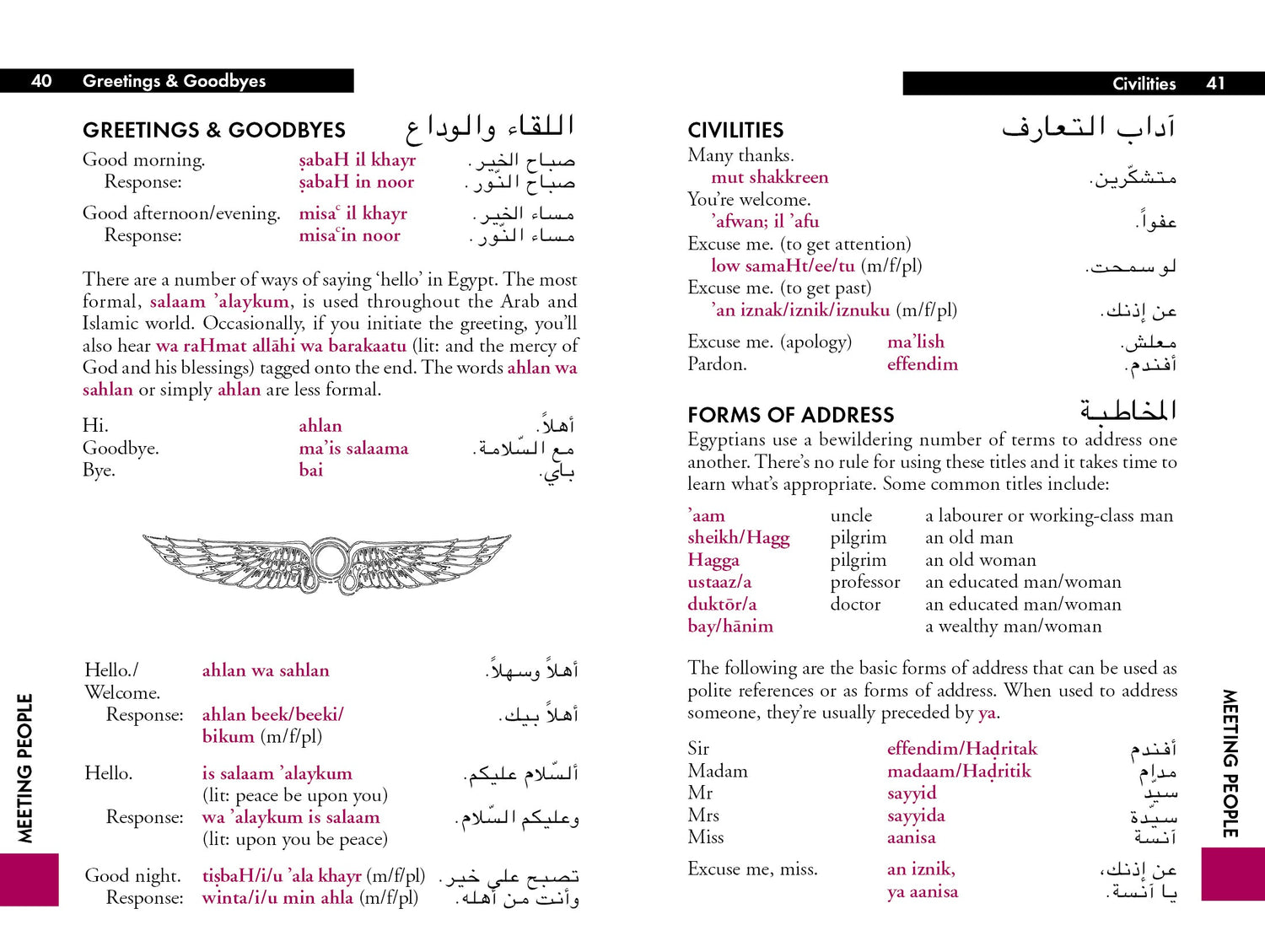 Egyptian Arabic Phrasebook & Dictionary - Book