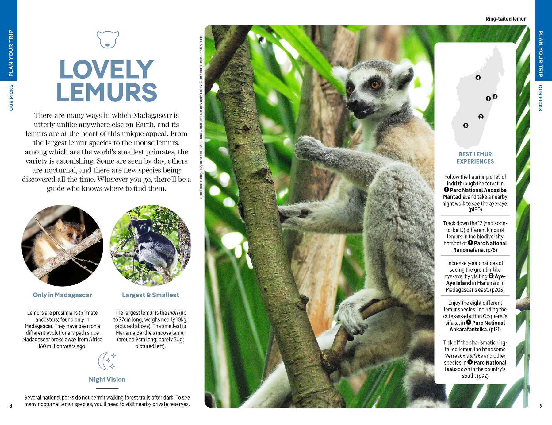 Madagascar - Book