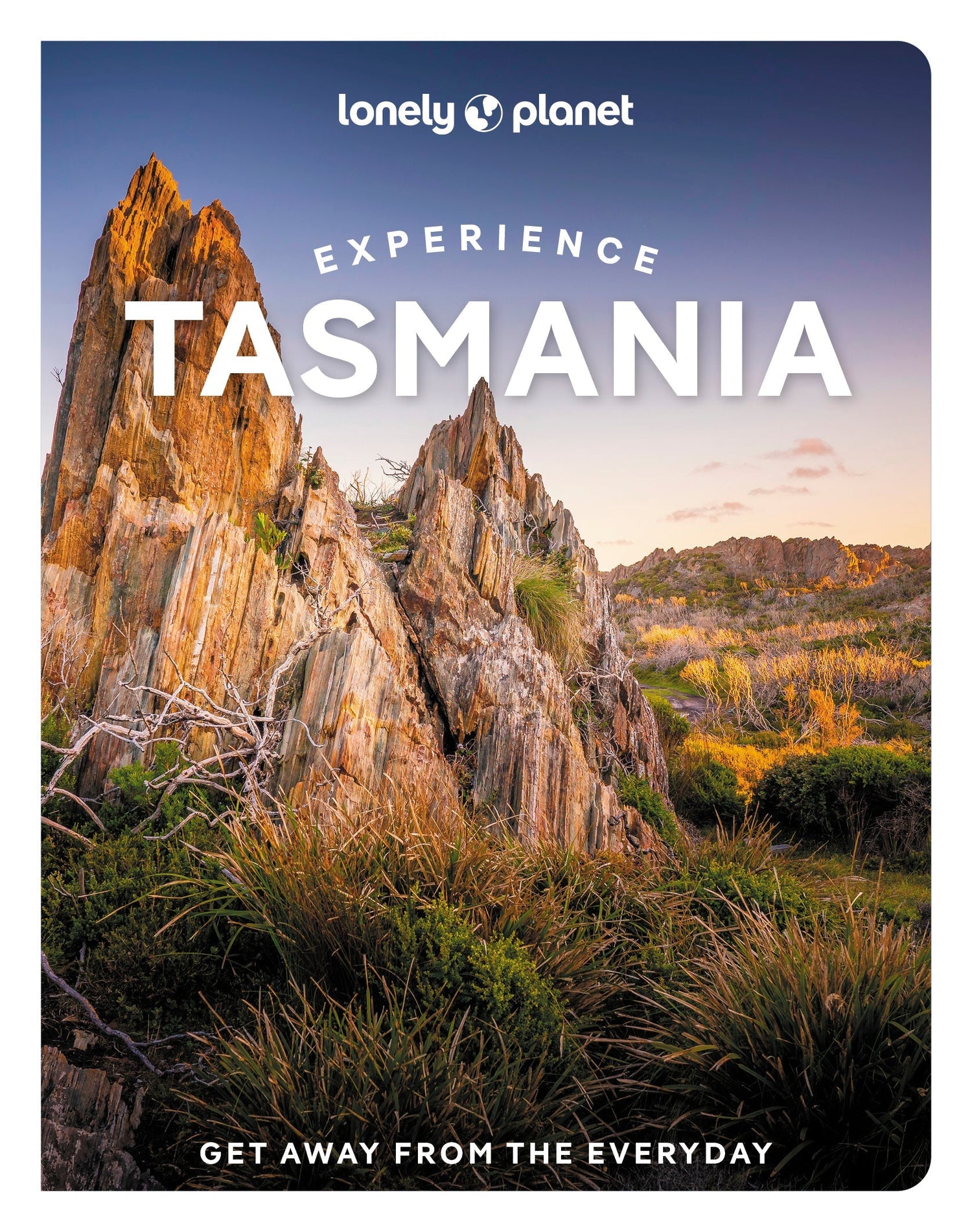 Experience Tasmania - Book