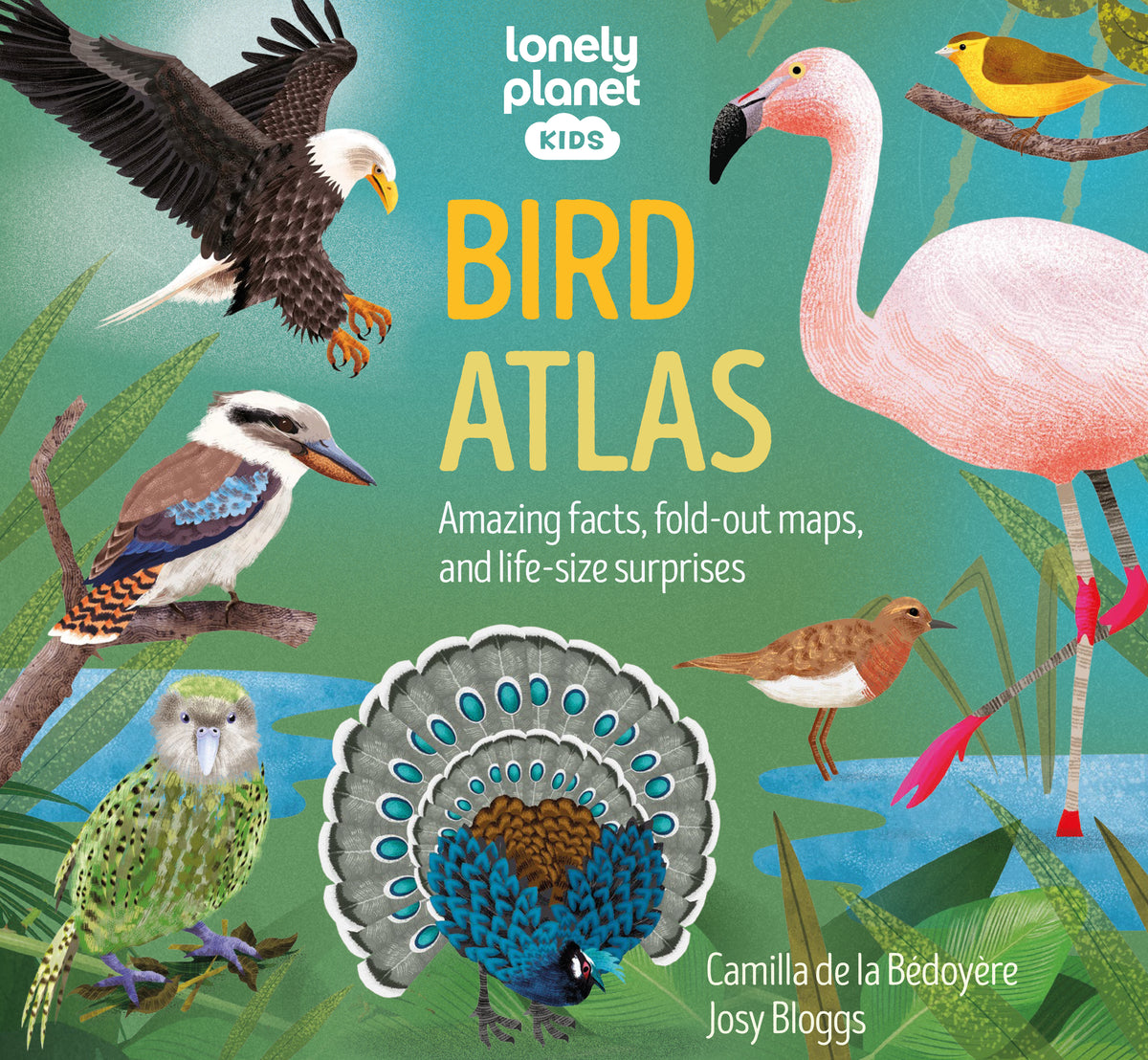 Bird Atlas (North and South America edition)