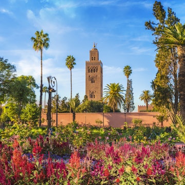 View of Koutoubia Mosque and gardem in Marrakesh, Morocco
