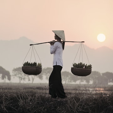 Vietnamese woman carrying baskets of bananas