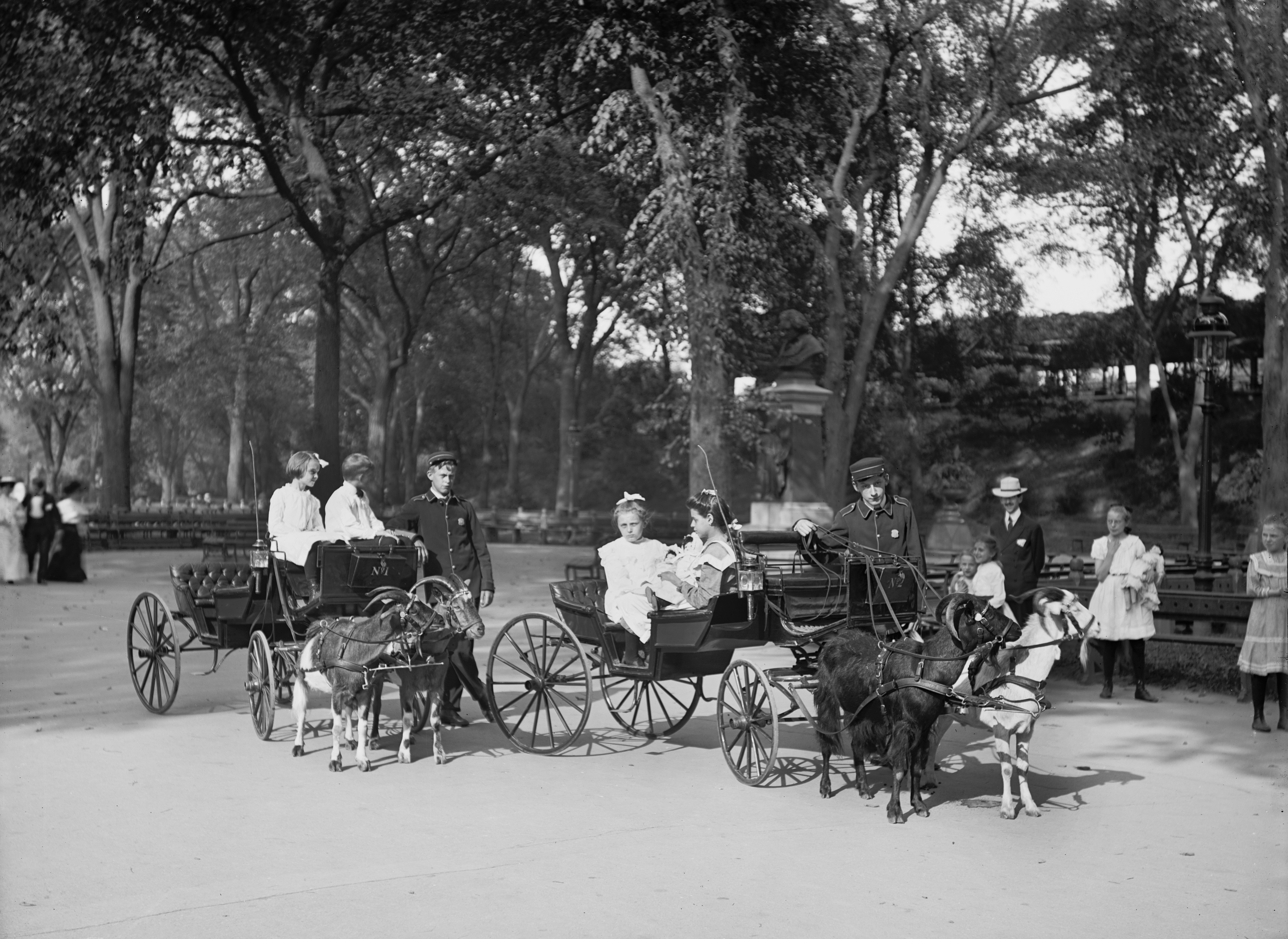 Children Riding in Goat Carriages, Central Park, New York City, USA, circa 1904