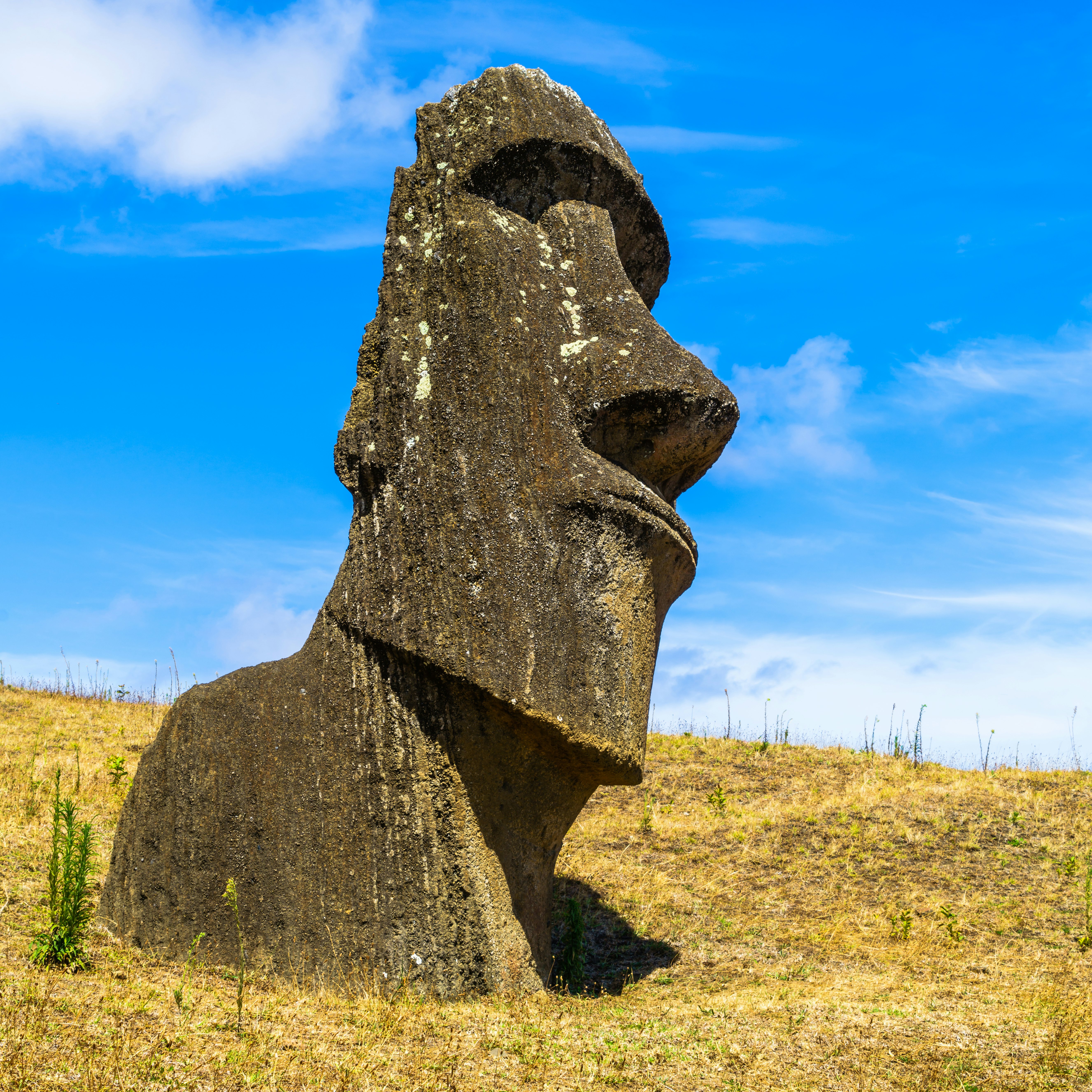 Mystery History Nature Travel Destinations Vertical Human Body Part Human Head Sculpture Carving - Craft Product Monument Park - Man Made Space Statue Chile Easter Blue White Color Pyramid Ancient South Famous Place National Landmark International Landmark Cultures Sky Light - Natural Phenomenon Cloud - Sky Landscape Hill Mountain Volcano Island Stone Material Rock - Object Day Sea Pacific Ocean Easter Island Rano Raraku Moai Statue Polynesia Quarry Mining Arranging Volcanic Landscape Photography Temperate Rainforest Travel Polynesian Culture The Human Body UNESCO World Heritage Site 62990
Polynesian Stone Carving at Rano Raraku Quarry in Easter Island, Chile
