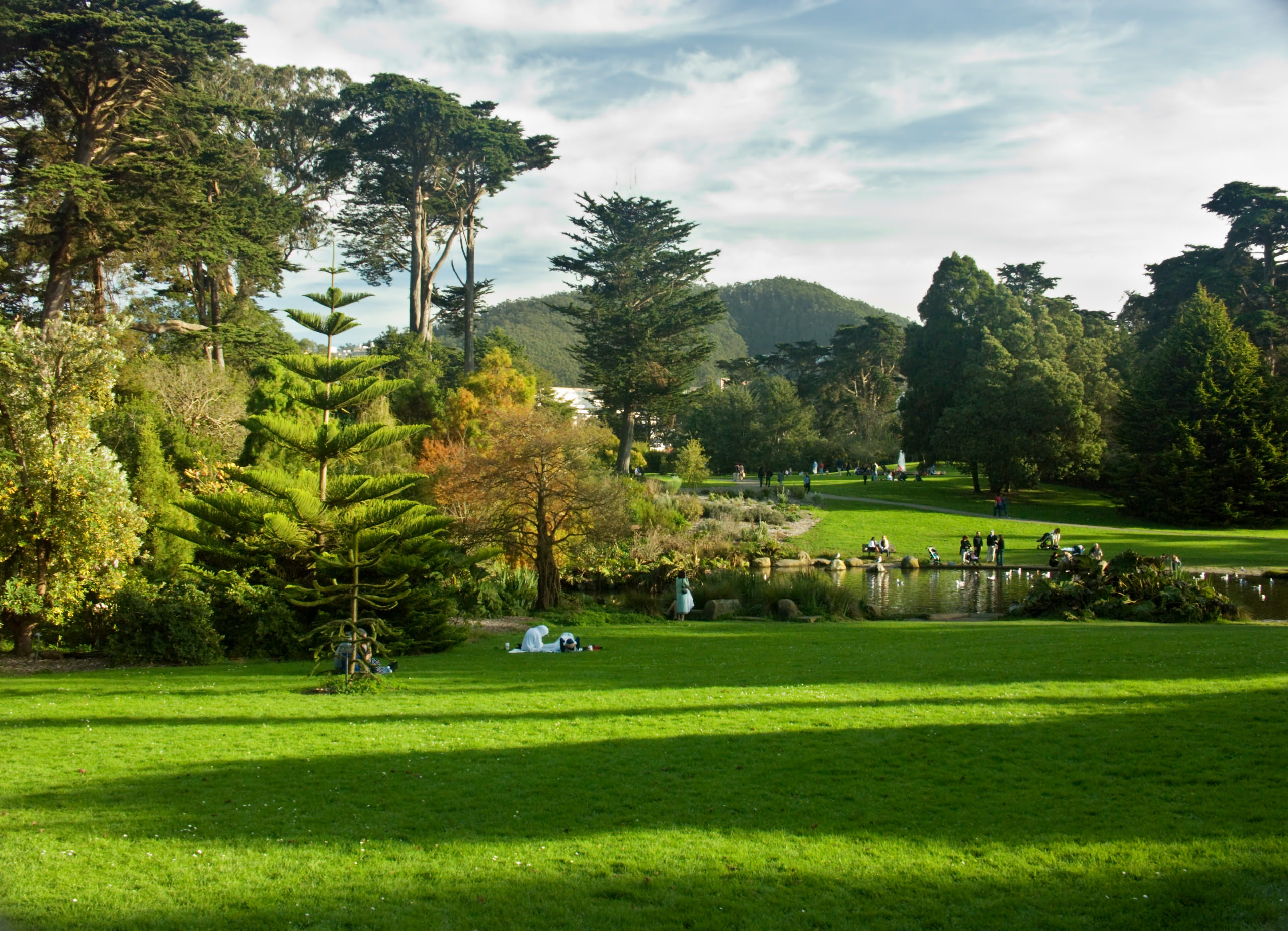 Golden gate park on a sunny day