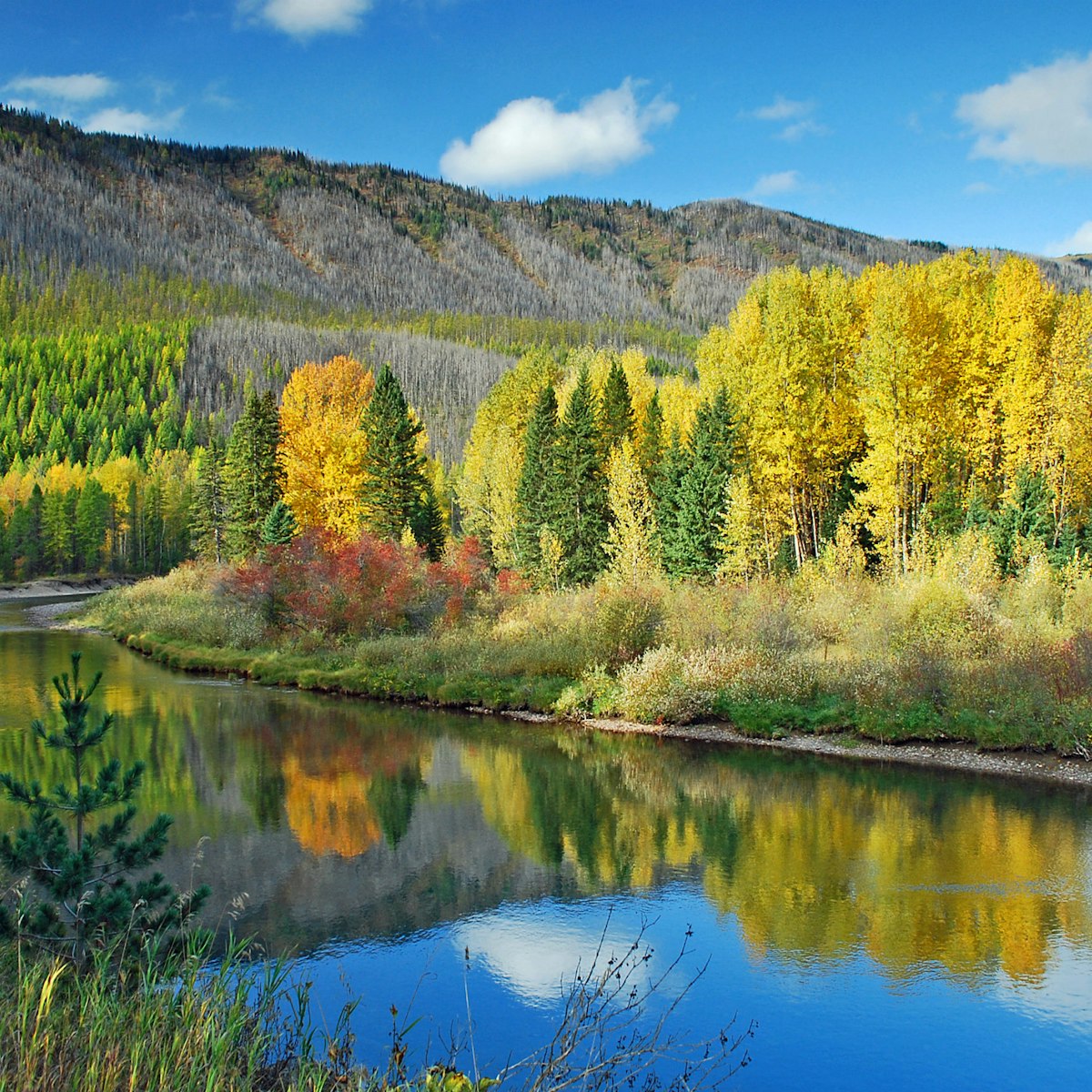 Lake McDonald Valley