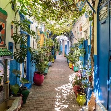A beautiful and suggestive Tangier kasbah with colored walls and doors and a lot of plant and flowers outdoor.
1412324267