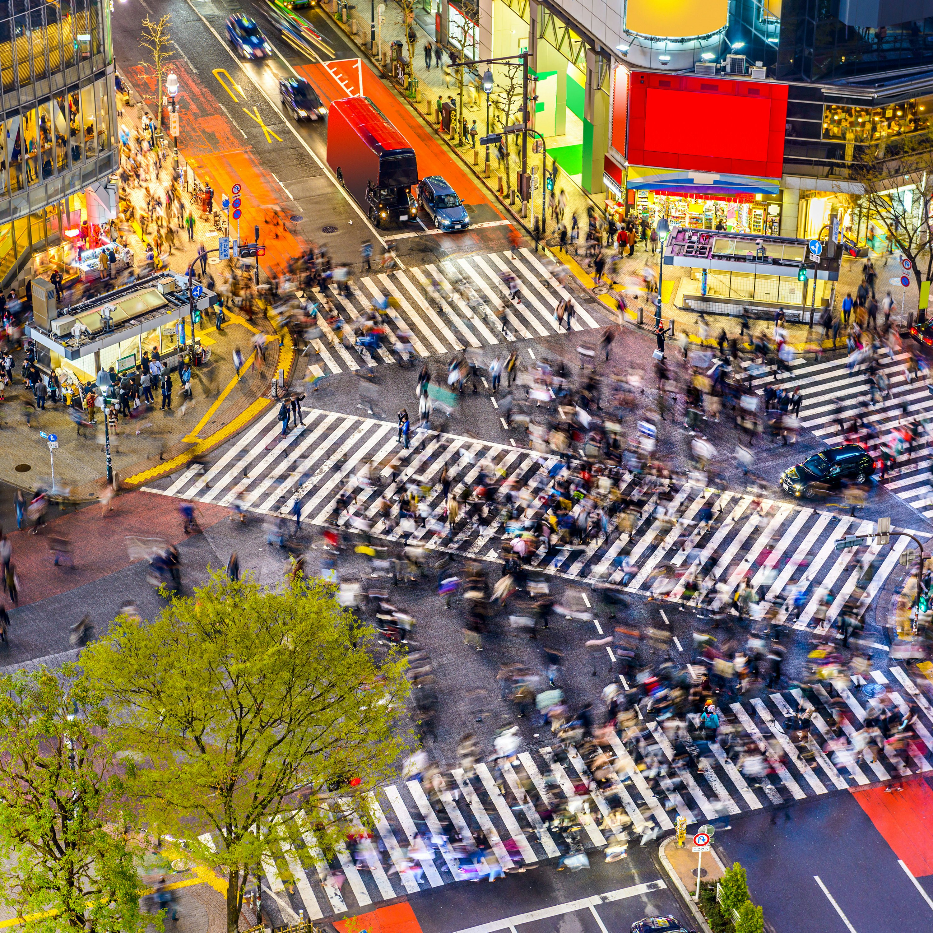 Tokyo, Japan view of Shibuya Crossing, one of the busiest crosswalks in the world.
aerial, architecture, asia, asian, billboards, buildings, business, city, cityscape, commercial, cross, crosswalk, crowd, district, downtown, dusk, evening, famous, futuristic, japan, japanese, landmark, lights, location, metropolis, metropolitan, modern, morning, night, office, pedestrian, people, place, plaza, road, scene, scenery, scenic, shibuya, shopping, signs, skyline, skyscrapers, square, street, tokyo, twilight, urban, view, walk