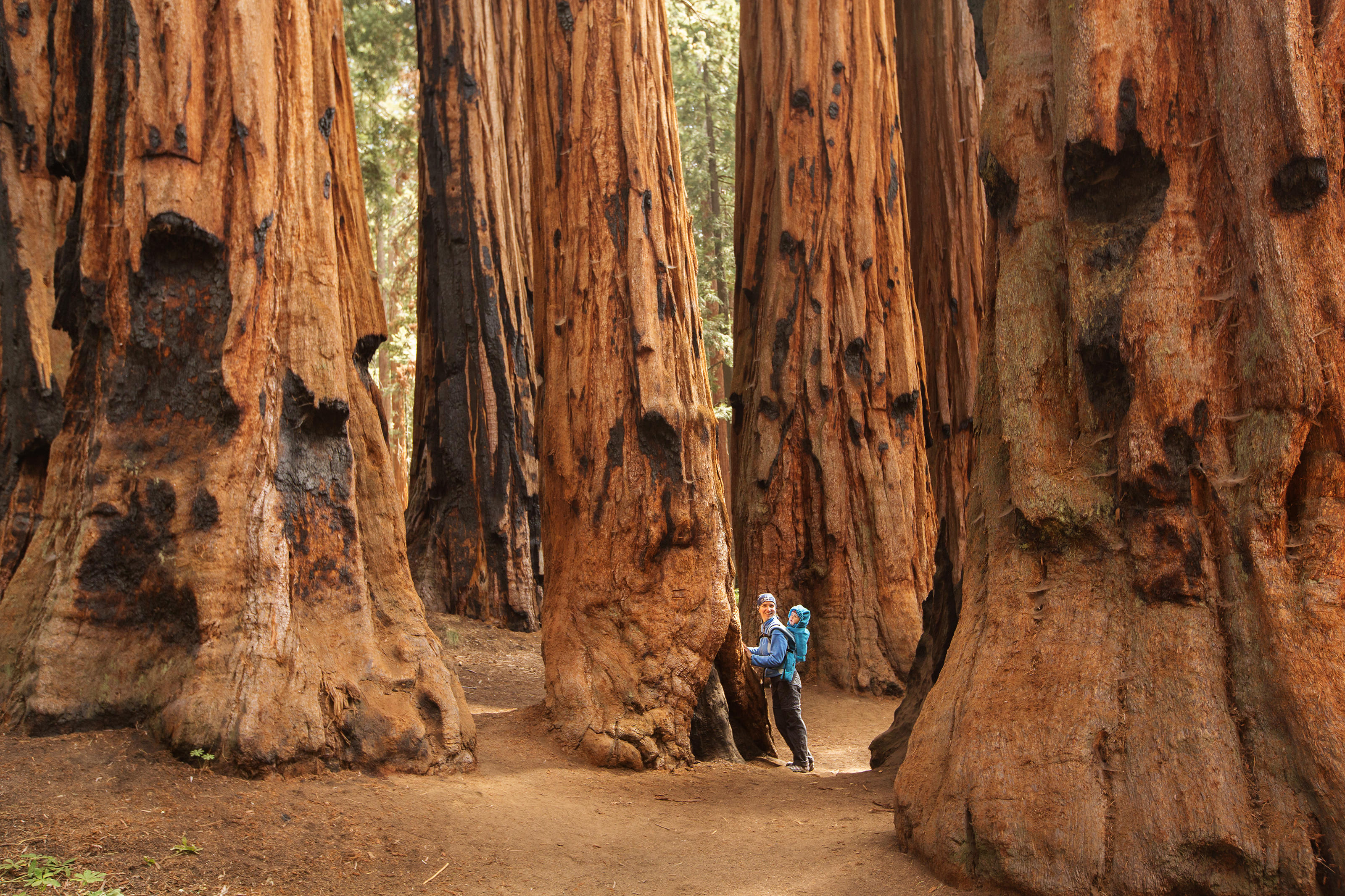 shutterstockRF_1175764084.jpg