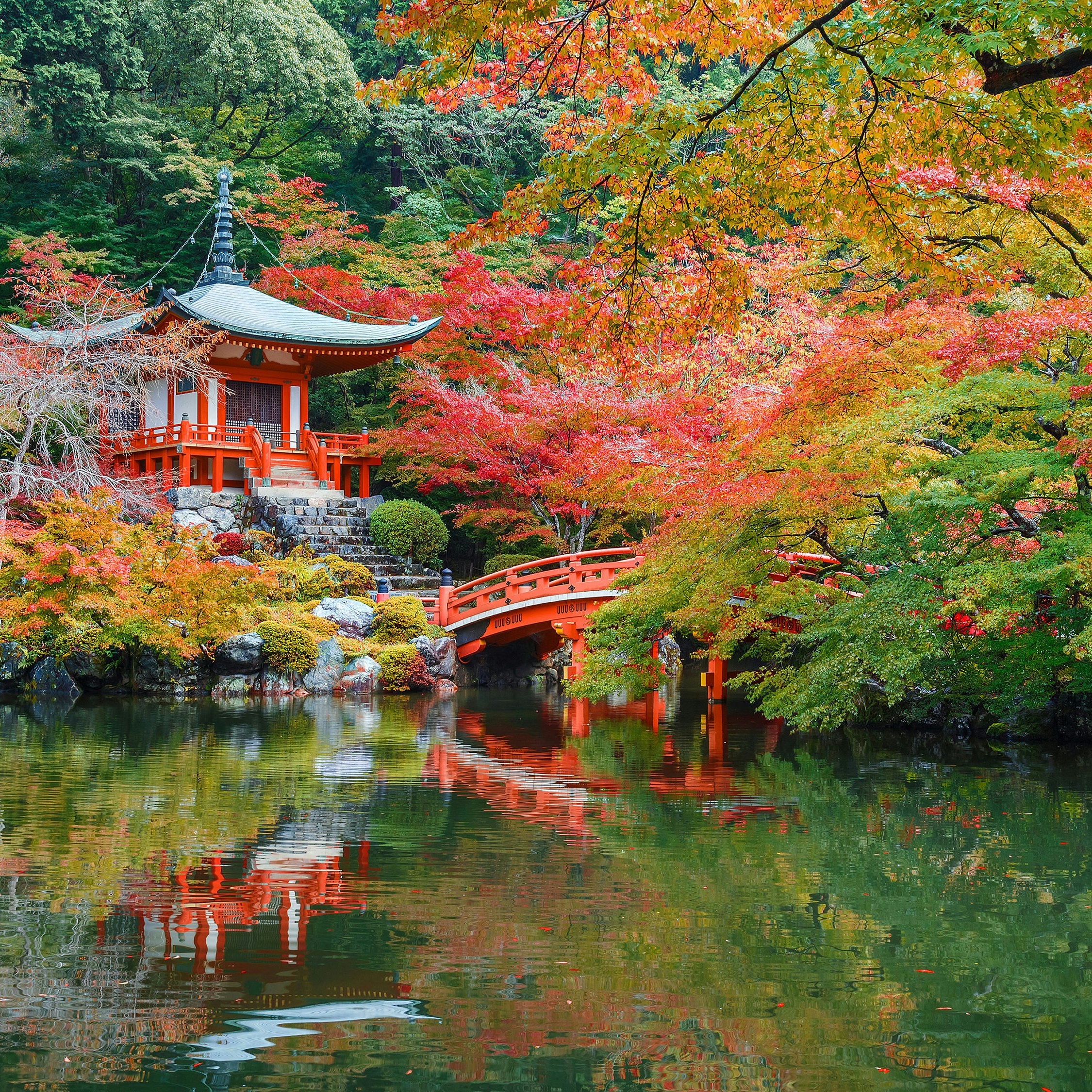 Autumn at Daigoji Temple in Kyoto, Japan
